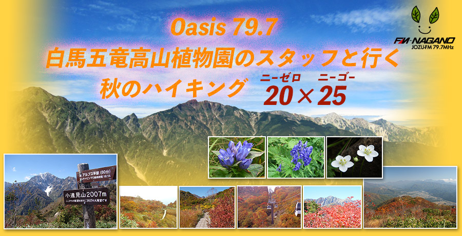 FM長野 Oasis 79.7 白馬五竜高山植物園のスタッフと行く秋のハイキング